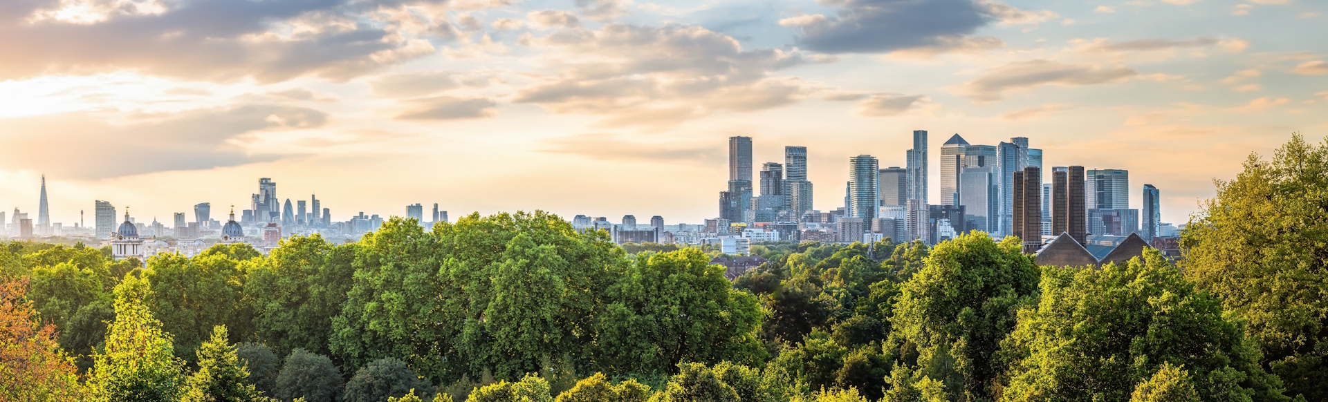 Greenwich Hill view on London skyline, with skyscrapers in the distance and trees in the foreground.