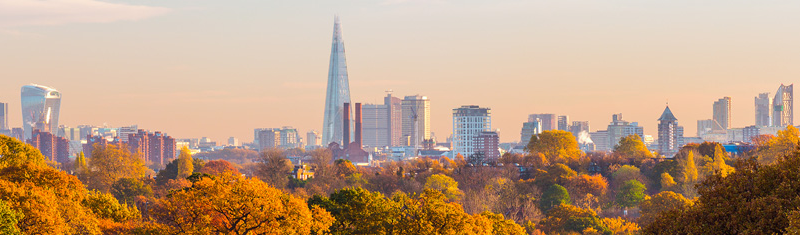 A view of London in autumn with trees in the foreground