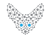 Fennech logo on white background.