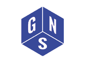 GNSurveys logo on a white background.
