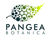 Pangea Botanica logo