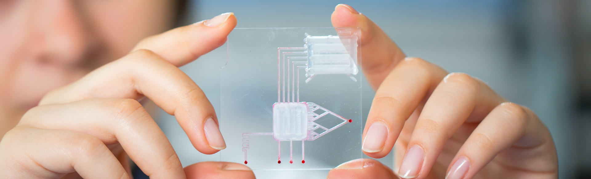 Technology computer chip